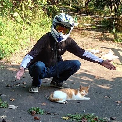 4180tantan4's profile picture. 愛機　16' WR250X 
バイクとキャンプと野良猫大好き男。長崎県新上五島町出身。
猫photoマン📸ω・｀)ﾉ 
中古の小さな平屋を買い、猫チャンを保護し、楽しく過ごす。そんな日常を呟く🏘🐈