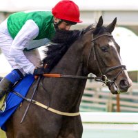 Martin Dwyer (@mdoutthesaddle) 's Twitter Profile