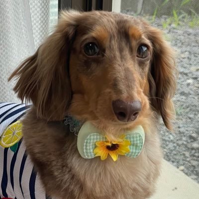 K2387618337's profile picture. 24卒/MARCH/私文/