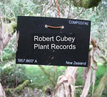 Plant Records at the Royal Botanic Garden Edinburgh. Work based tweets. Own opinion not official RBGE. Personal Twitter @QBinEdin