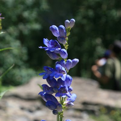 JieuiK's profile picture. bestrongz2