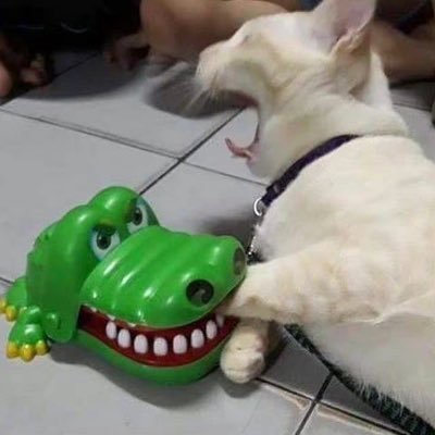 ㅎ.. 嘘じゃないよ