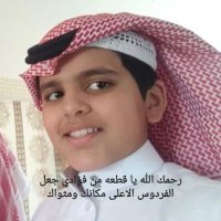 أ.د. صفية عبدالله احمد بخيت (@sabakyt) 's Twitter Profile Photo