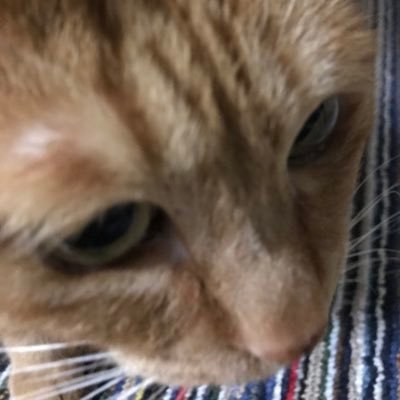 nyo1009's profile picture. 🦶🦶🦶🦶🦶🦶🦶