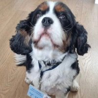 Morris_Maths (@morris_maths) 's Twitter Profile