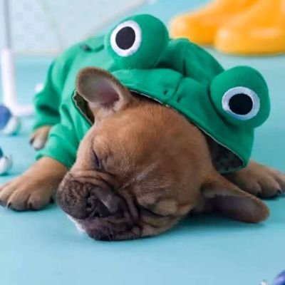 4uuNYYgyuqgdxQJ's profile picture. the only thing