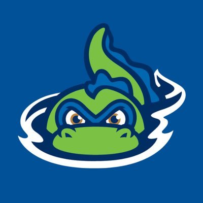 ⚾️ Futures Collegiate Baseball League franchise in Burlington, VT #LakeMonsters