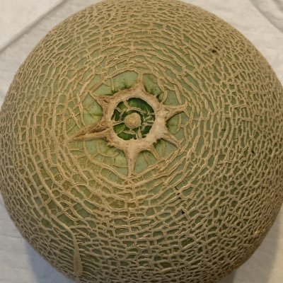 yeaoh15214126's profile picture. メロン🍈ダイスキ