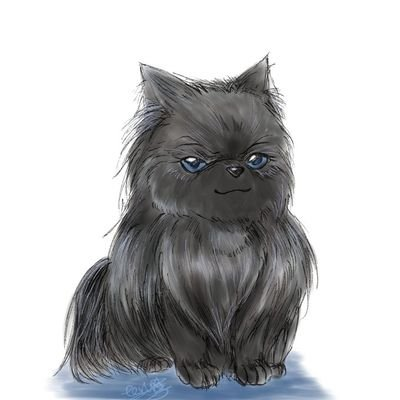 海瑠さんのプロフィール画像
