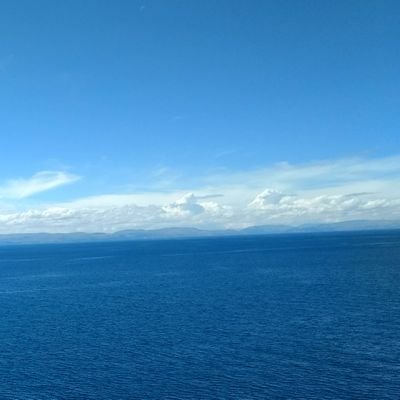 PariAnghel's profile picture. 