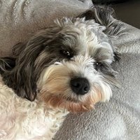 MWalk (@markwalk3) 's Twitter Profile