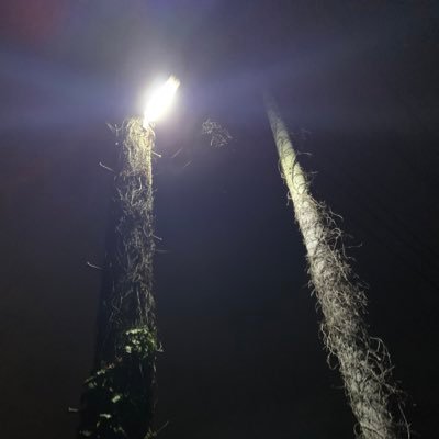 s_individually's profile picture. 