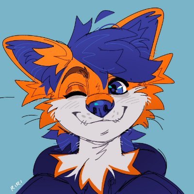 lisekqr Profile Picture