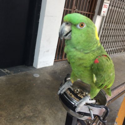 I2Vcp's profile picture. 弁護士です。独立してしばらく経ちました。仕事に対する考えや悩み事に、ついてポストすることが多いです。また、有益な情報があればポストしようと思っています。