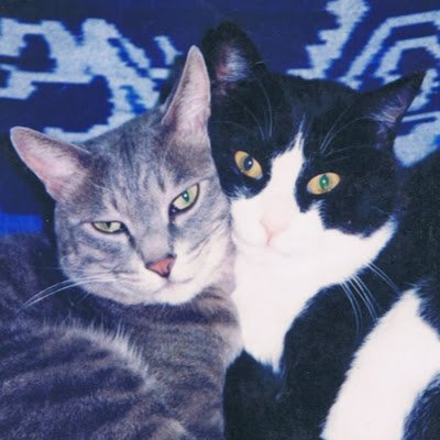 fjiHocdUk6XRCUw's profile picture. 