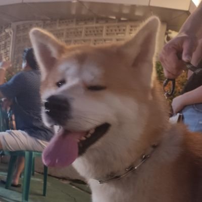 ｐａｔさんのプロフィール画像