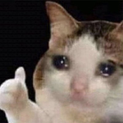 Alt account for @JustaCatCrying
if main gets deleted you know where to find me