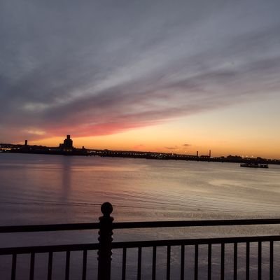 xNoaFencex's profile picture. 