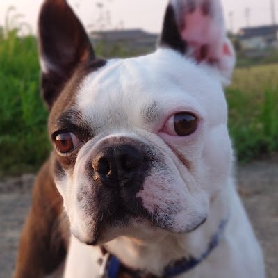 marukoba1232's profile picture. まる好き。