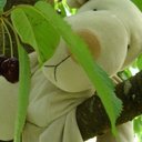 Ralph Wright - @RalphWright - Twitter