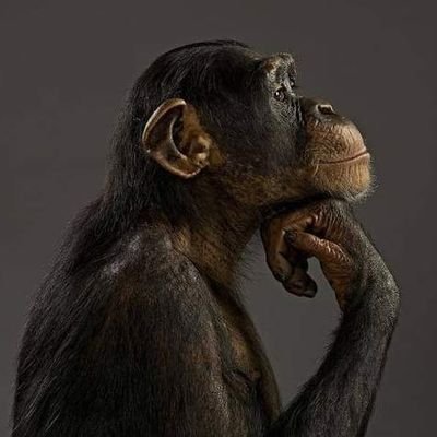 frankncube777's profile picture. Cool