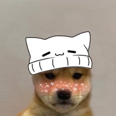 Erka62256637's profile picture. lolz