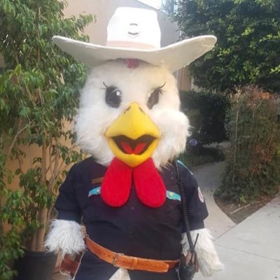 I am a Chicken that loves Star Wars,  LA theater, the Clippers and Cosplay!
