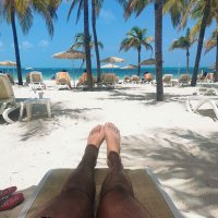 JAlvarado (@javieralvarado8) 's Twitter Profile