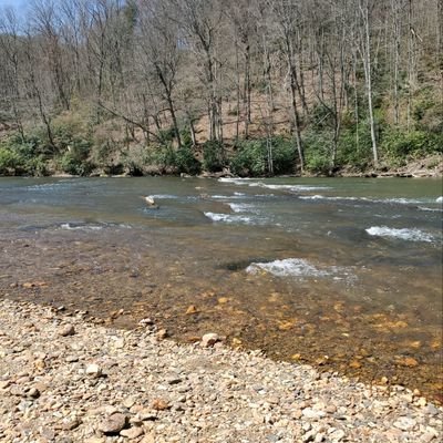 hooz4551's profile picture. 