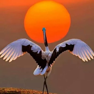 Cat_Perinet's profile picture. 