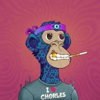 xNFT chancequipeut {C̶U̶L̶T̶} ✌️ (@chancequipeut) 's Twitter Profile