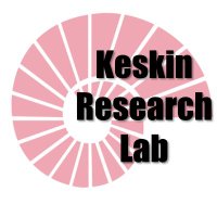 Keskin Research Group(@GroupKeskin) 's Twitter Profile Photo