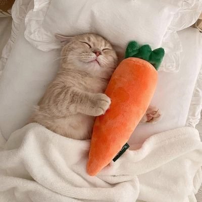 Люблю котиков и динозавров!
Живу с дядей, иногда заглядываю к папе на его работу.
Хочу стать палеонтологом когда вырасту 🦕❤