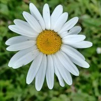 Pam McInnes(@pam_mcinnes) 's Twitter Profile Photo Pam McInnes(@pam_mcinnes) 's Twitter Profile Photo