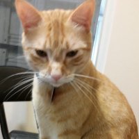 Pat Barnett (@patbarn12394576) 's Twitter Profile