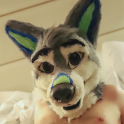 CanisConundrum's profile picture. 🔞NSFW CONTENT🔞 | AD/Vent account 🍆 🍑😤 | 30 | Pansexual 🏳️‍🌈 | 18+ Only | MFY Soft Suiter 🐶 Cash App: $CanisConundrum