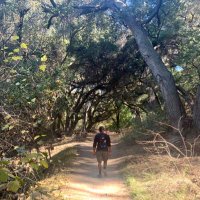 Azande Aikens (@azaikens) 's Twitter Profile