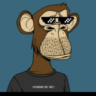 Stephane_Mlg's profile picture. Explorateur d’idées, là où la curiosité rencontre l'action.Toujours en quête de plus grand 🧞