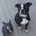 collin cooper - @cobycollin12 - Twitter