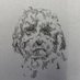 scout (@racoonpontoon) Twitter profile photo scout (@racoonpontoon) Twitter profile photo