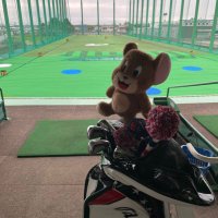 ほむほむ (@golf_homuhomu) Twitter profile photo