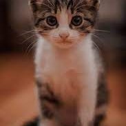 RachelW79066172's profile picture. Coinbase launches NFT marketplace with a focus on community