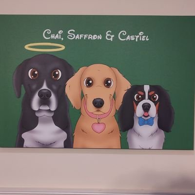 Ghost01Spice's profile picture. Just trying to make new friends that are obsessed with food, travel and adventure!