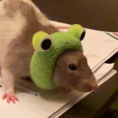 ⌧ helad0さんのプロフィール画像