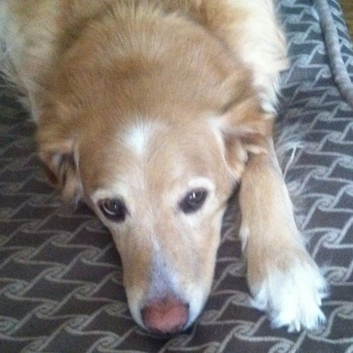 pbo26's profile picture. love my family, work,hockey, up north, and the dogs. I am a most fortunate man!