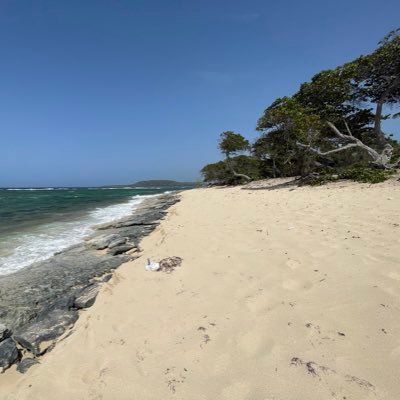 ODIO a toda la basura infrahumana Comunista e Izquierdista donde se encuentre en el mundo.