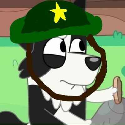 Hi I'm Mackenzie a friendly collie🖍️🖊️📙📘📗📔🗃️👠🎸🎸🌹🌹🎈🎻❤️📚