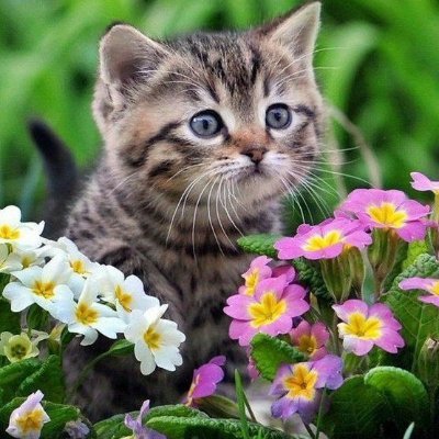 emorysebster's profile picture. 以后寂寞了,会来这里继续写下去