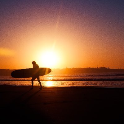 zappatier's profile picture. When the going gets tough, the tough gets going.