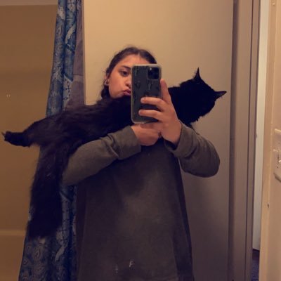 cheyencinas's profile picture. | one part sleepy, two parts stupid |